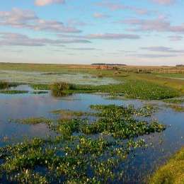 Los humedales como infraestructura natural frente a inundaciones y sequías