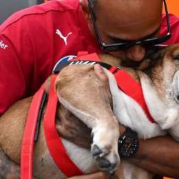 El sentido recuerdo de Lewis Hamilton a un año de la muerte de Roscoe, su perro