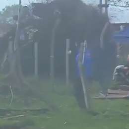 Fuerte golpe de Casella tras un toque de Trappa en Posadas