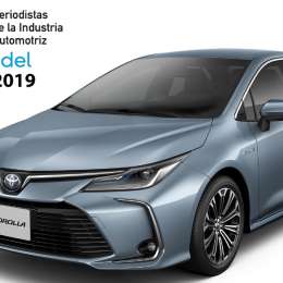 ¿Cuáles fueron los elegidos para el Auto del Año en Argentina?