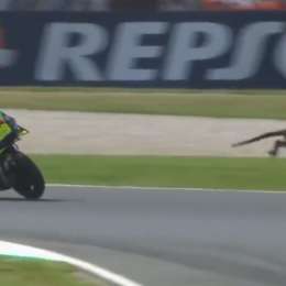 ¡Cuidado! Canguro suelto