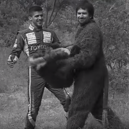 La apertura de Sigue