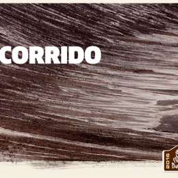 Dakar 2016: Argentina, la vedette