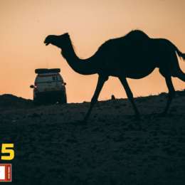 ¿El Dakar se muda a Arabia Saudita?