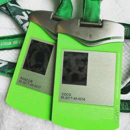 Perros acreditados para la F1