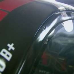 Canapino sorprendido con la exclusión