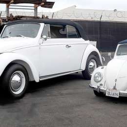 Un "Escarabajo" gigante