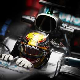 El sacrificio de Hamilton