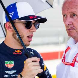 Marko descartó un posible regreso de Gasly a Red Bull