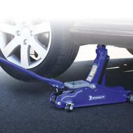 ¿Por qué se le dice gato al criquet?