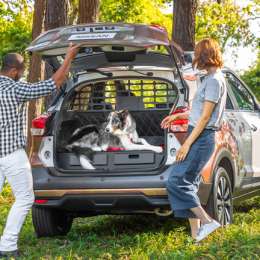 En Brasil Nissan creó una versión Kicks para mascotas