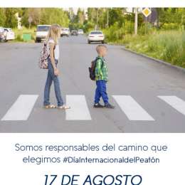 Día del Peatón: ocupa el 34% de las víctimas en siniestros viales