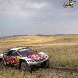 PETERHANSEL, PESE A TODO