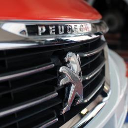 El León se afila las uñas