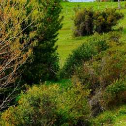 Comenzó la acción en Esquel