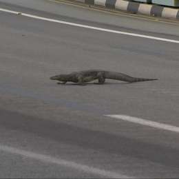 "En 2017 no se podrán pasar"