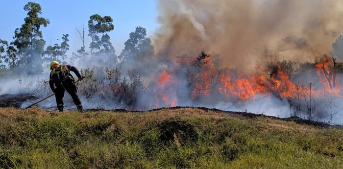 El piloto que defiende el medio ambiente