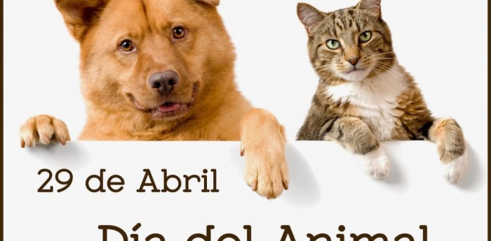 29 de abril: Día del Animal y el cordobés que defendió su la celebración