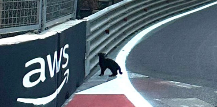 Charles Leclerc también tuvo que esquivar un gato en la F1