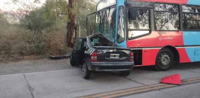 Intentó esquivar un perro, chocó y murió