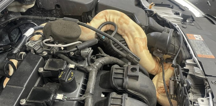 ¡Insólito! Encontró una serpiente en el motor del auto