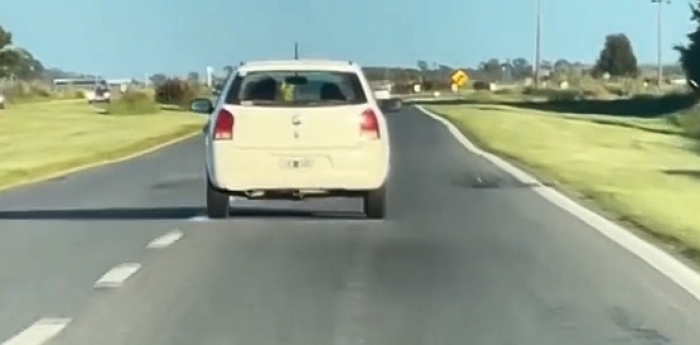 ¡Peligro al volante! Un conductor manejó 20 kilómetros haciendo zigzag en la ruta