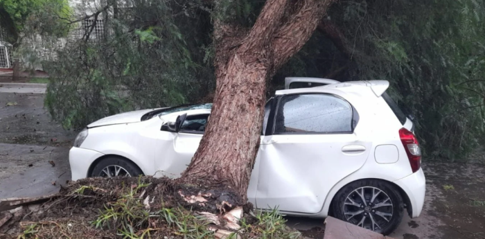 ¿Tu auto sufrió daños por el temporal? Enterate cómo tenés que reclamarle al seguro