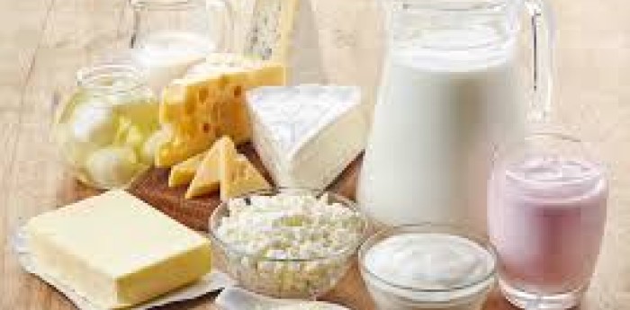 Salud y bienestar: el poder de los probióticos: Más allá del yogurt, la guía para mejorar tu salud intestinal