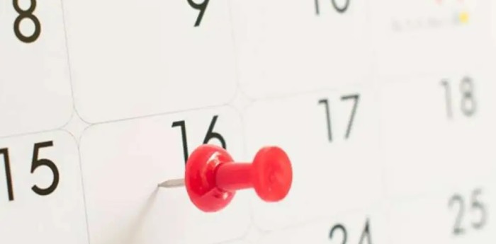 ¿Es feriado el próximo 24 de noviembre?