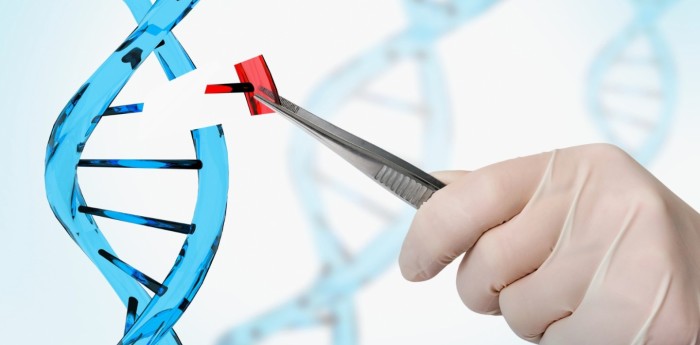 Edición genética: entre la promesa médica y el dilema ético