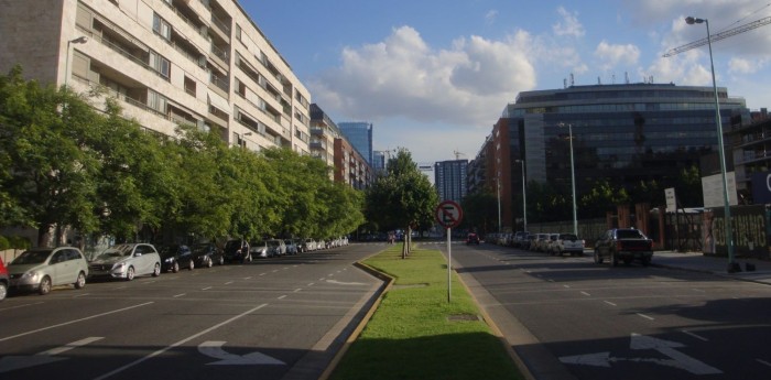¡Insólito! La loma de burro en Puerto Madero que causa estragos entre los conductores