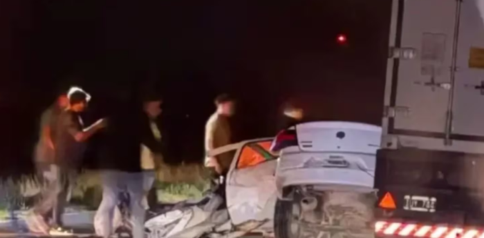 Trágico accidente en Ruta 3: quiso esquivar dos carpinchos, chocó con un camión y murió