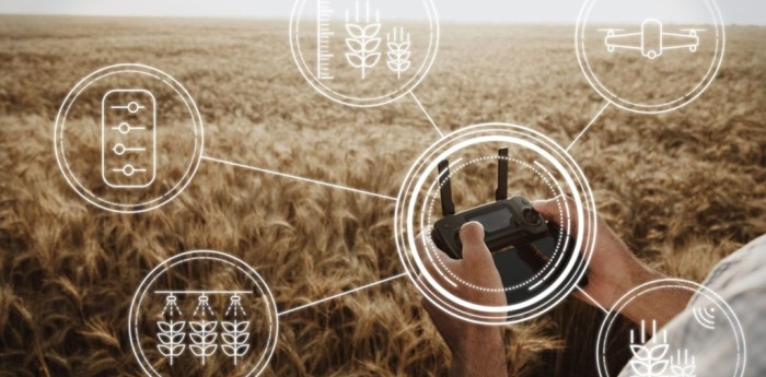 Agricultura 4.0: sensores, drones e IA en el campo