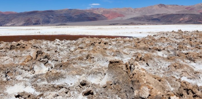 Litio, baterías y geopolítica: quién captura el valor en el “Triángulo del Litio”