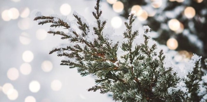 Salud y bienestar: guía definitiva para ganarle a la ola de polar sin quedar en el camino