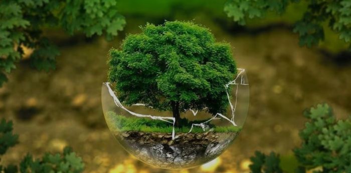 Cambio climático y ciencia regional: entre dependencia global y urgencia local