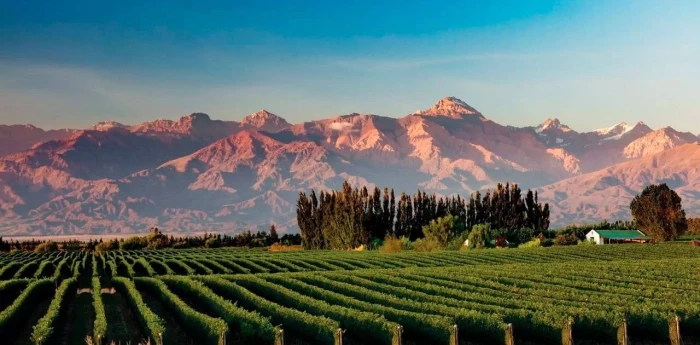 Clima en Mendoza hoy: cómo estará el tiempo este miércoles 1 de abril de 2026 según el Servicio Meteorológico Nacional