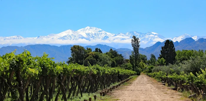 Clima en Mendoza hoy: cómo estará el tiempo este lunes 6 de abril de 2026