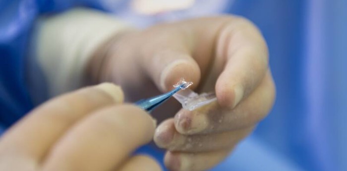 Salud y bienestar: cómo la IA está detectando enfermedades años antes de que aparezcan los síntomas