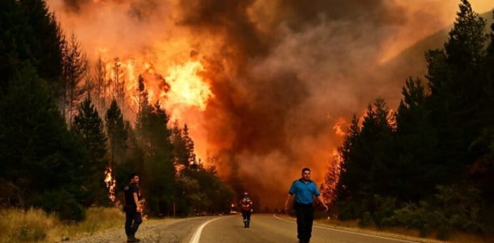 Incendios forestales: ¿fallas en prevención científica?