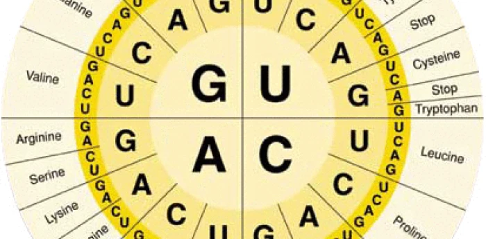 Salud y bienestar: el código genético como hoja de ruta para la salud del futuro