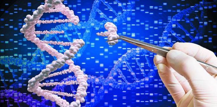 Edición genética: ¿hasta dónde puede llegar la humanidad al modificar el ADN?