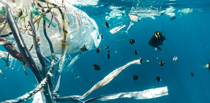 Océanos en crisis tecnológica: robots, sensores e inteligencia artificial contra el deterioro marino