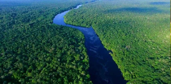 Amazonia bajo vigilancia satelital: la tecnología que monitorea incendios y deforestación en tiempo real