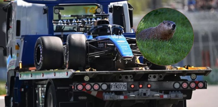 F1: una ONG apuntó contra la FIA y solicitó medidas para evitar los accidentes con las marmotas en Canadá