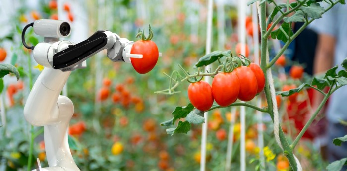 Robots colaborativos: los casos reales de automatización que están transformando la industria argentina