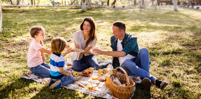 Salud y bienestar: picnic seguro y playa sin riesgos: cómo evitar la contaminación cruzada y cuidar la cadena de frío al comer al aire libre