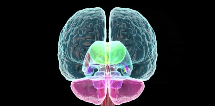 Salud y bienestar: el impacto de la respiración funcional: el control neurofisiológico en momentos límite