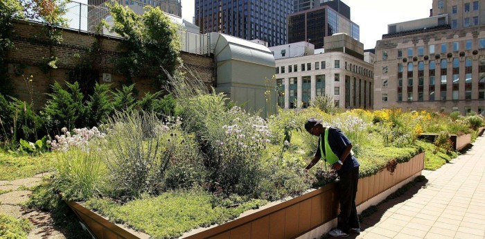 Los techos verdes que empiezan a cambiar el paisaje urbano argentino