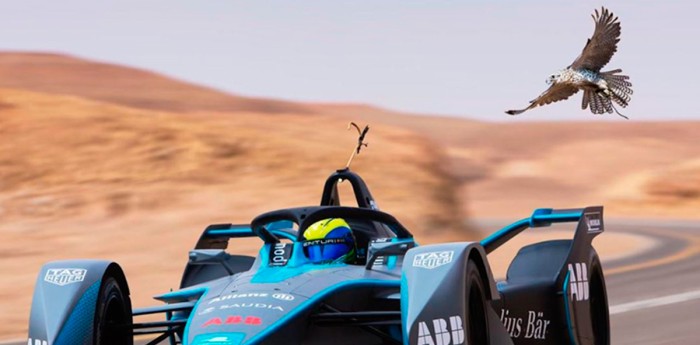 ¿Puede ganarle un Fórmula E al ave más rápida del Mundo?